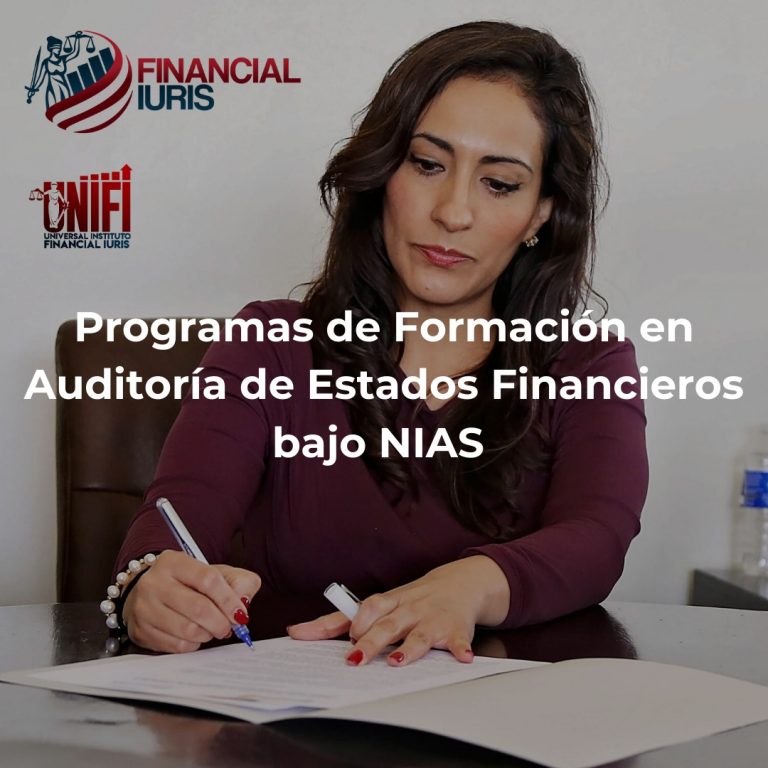 Programas de Formación en Auditoria de Estados Financieros Bajo NIAS